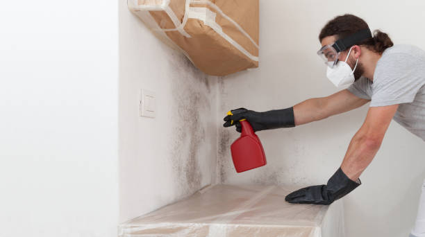 Professional Mold Inspection And Testing technician working in Southport, NC