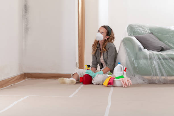 Reliable Mold Inspection And Testing contractor in Southport, NC by 24 Hour Mold Removal